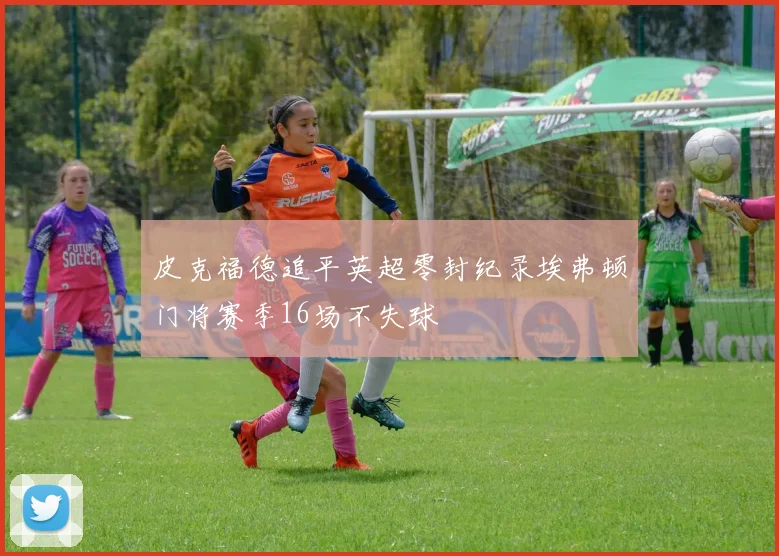 皮克福德追平英超零封纪录埃弗顿门将赛季16场不失球