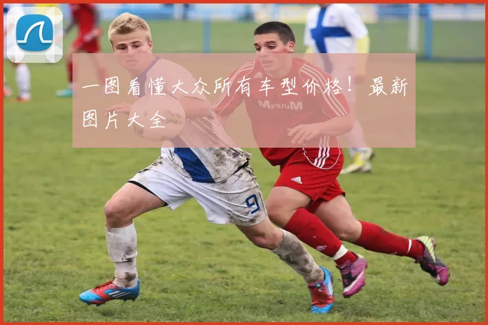 一图看懂大众所有车型价格！最新图片大全