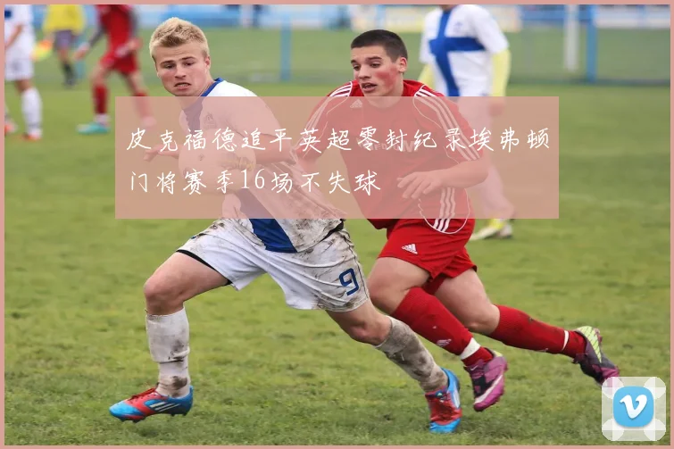 皮克福德追平英超零封纪录埃弗顿门将赛季16场不失球