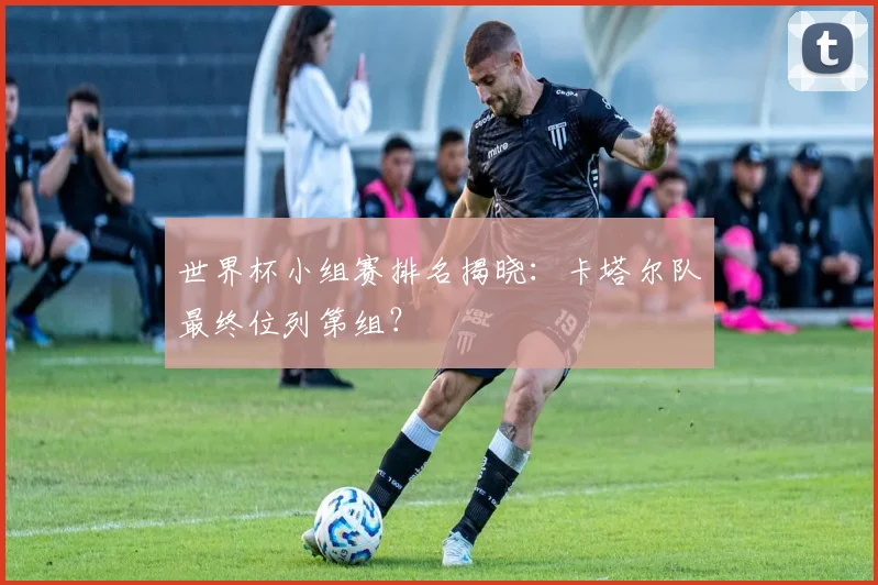 世界杯小组赛排名揭晓：卡塔尔队最终位列第组？