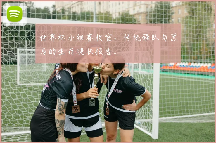 世界杯小组赛收官,传统强队与黑马的生存现状报告。