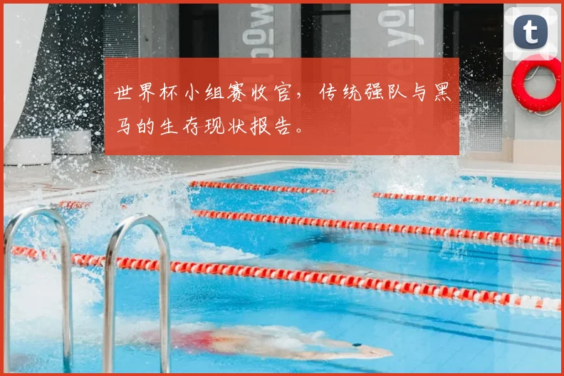 世界杯小组赛收官,传统强队与黑马的生存现状报告。